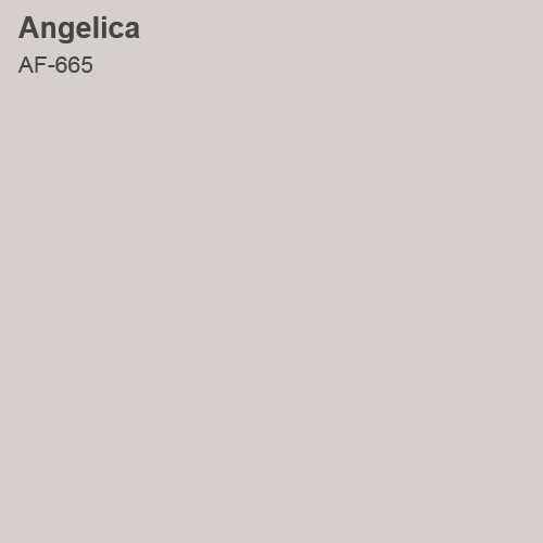 Angelica 