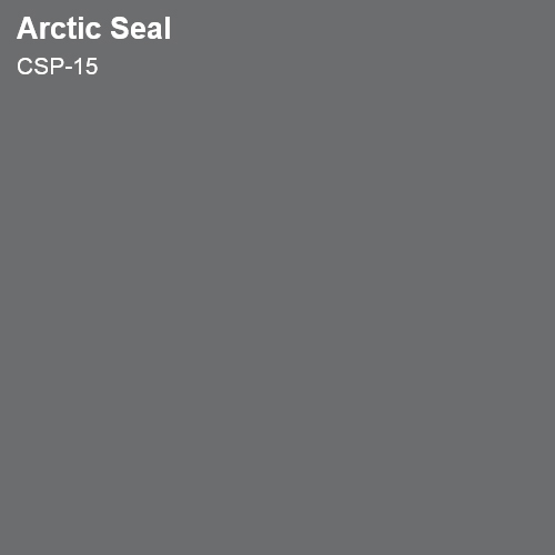 Arctic Seal 