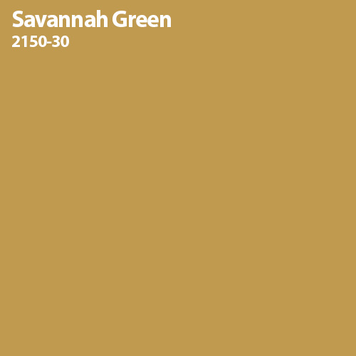 Savannah Green Color Sample 