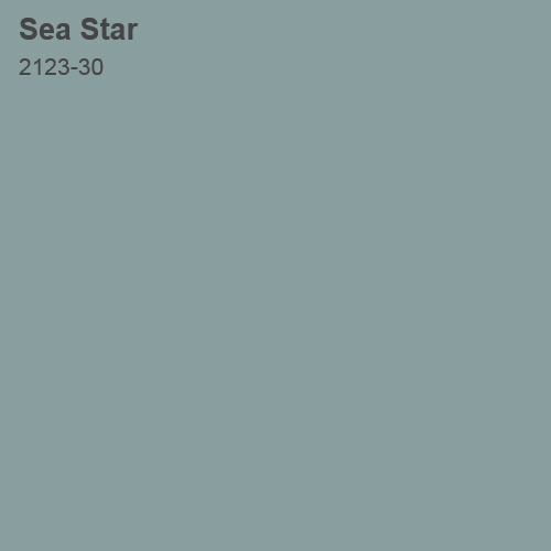 Sea Star 