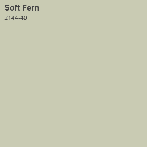 Soft Fern Color Sample 