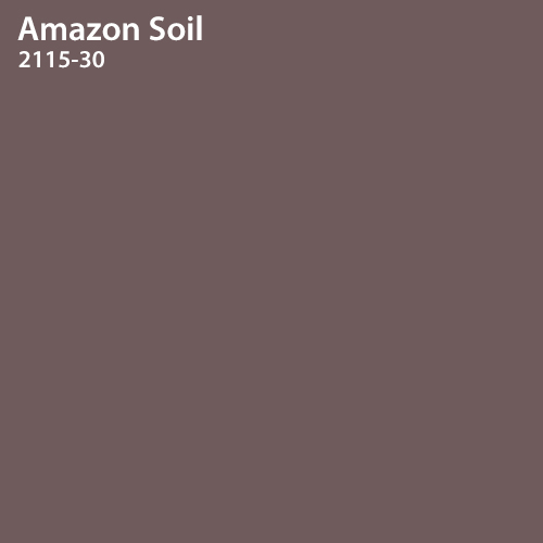 Amazon Soil Color Sample 
