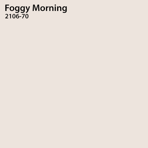 Foggy Morning Color Sample 
