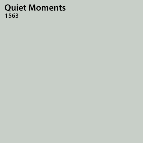 Quiet Moments Color Sample 