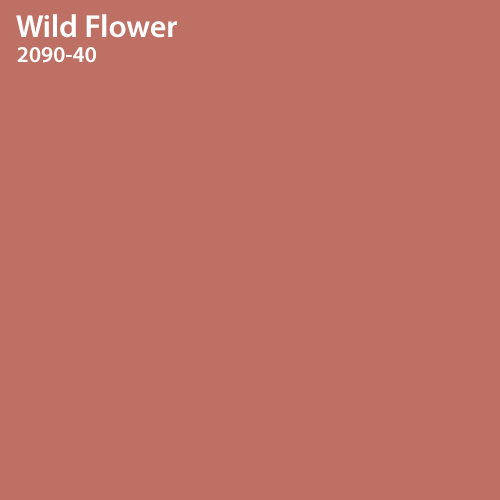 Wild Flower Color Sample 