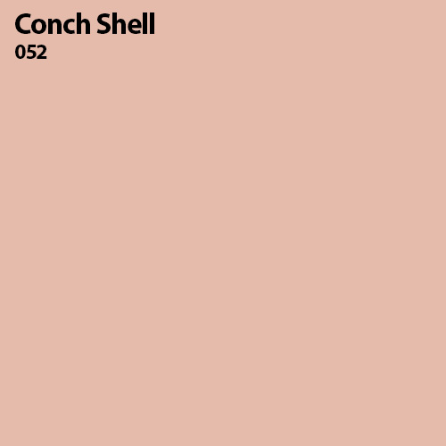 Conch Shell Color Sample 