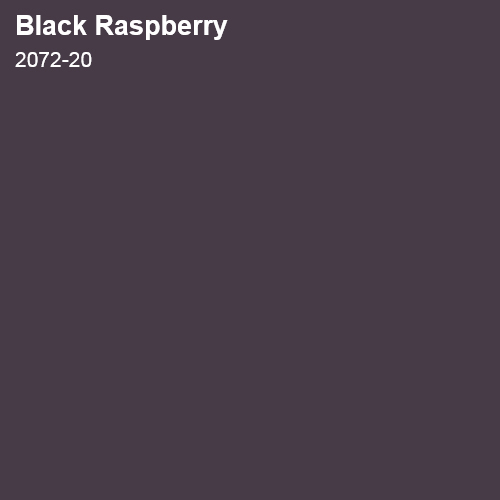 Black Raspberry Color Sample 