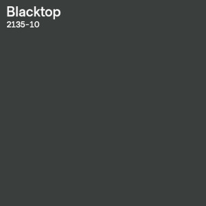 Blacktop Color Sample 
