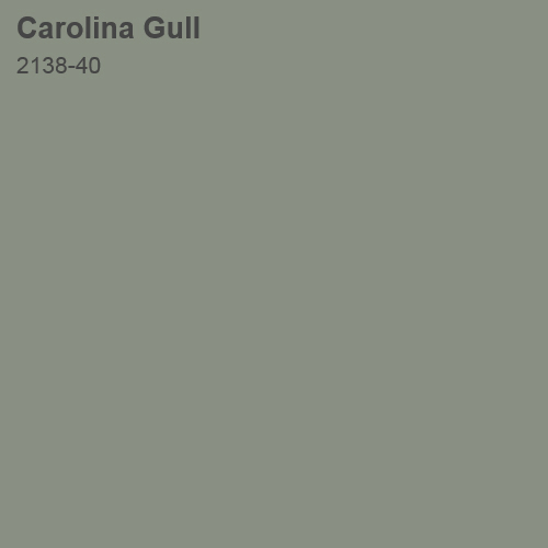 Carolina Gull 