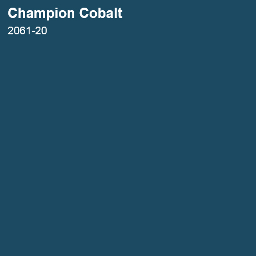 Champion Cobalt Color Sample 