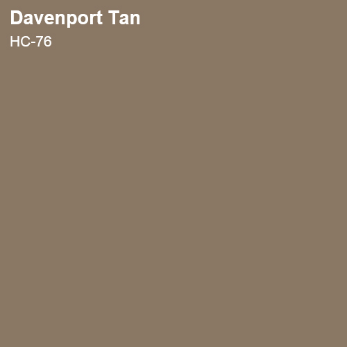 Davenport Tan Color Sample 