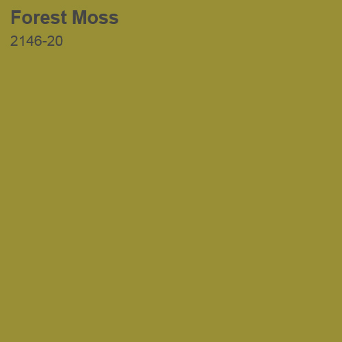 Forest Moss Color Sample 