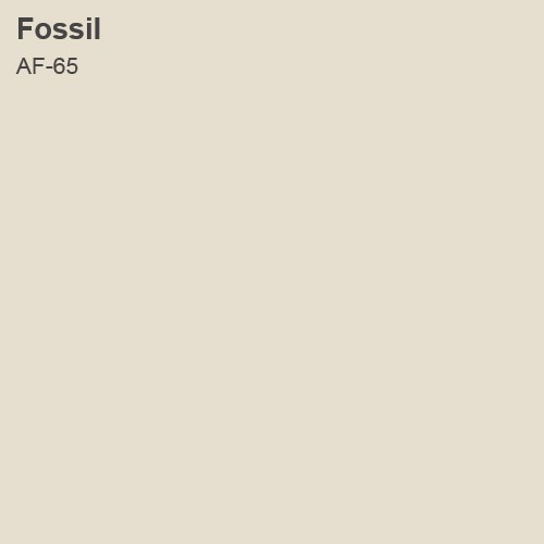 Fossil 