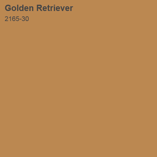 Golden Retriever Color Sample 