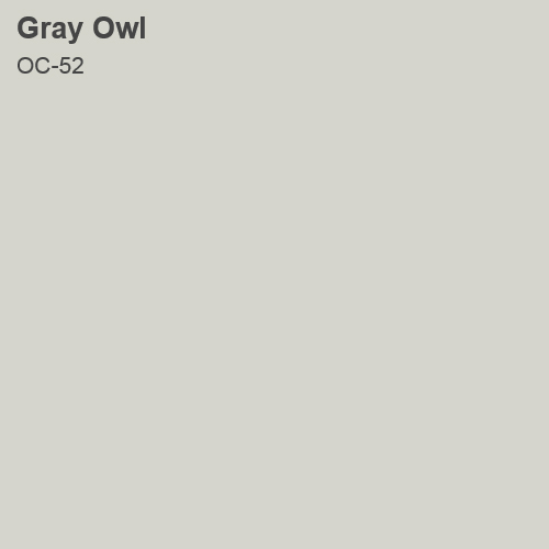 Gray Owl 