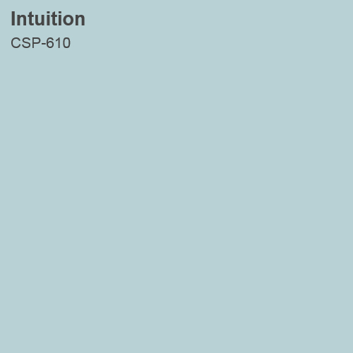 Intuition 