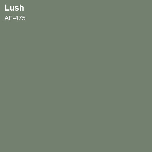 Lush Color Sample 