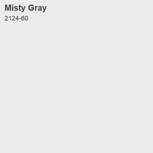 Misty Gray Color Sample 