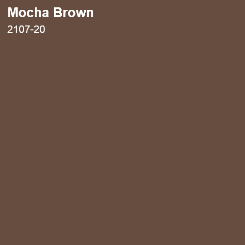 Mocha Brown Color Sample 