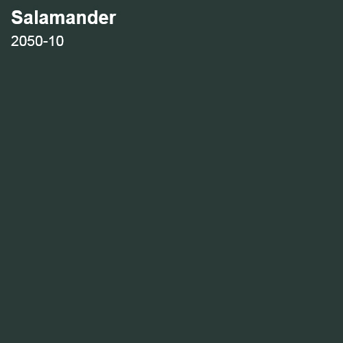 Salamander 