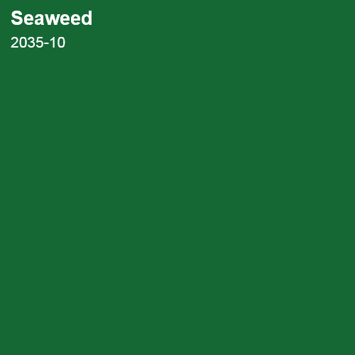 Sea Weed Color Sample 