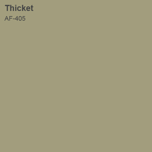 Thicket Color Sample 