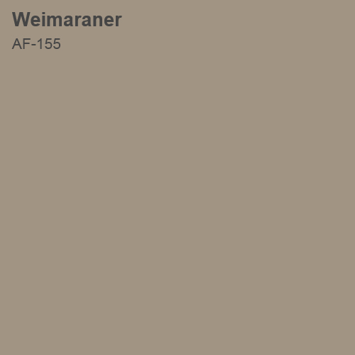 Weimaraner Color Sample 