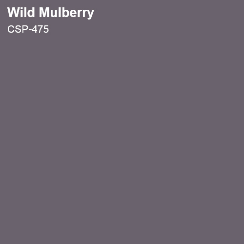 Wild Mulberry Color Sample 